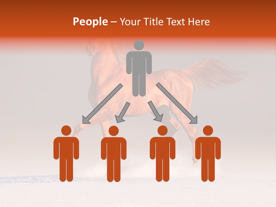 Arab Equestrian Horse PowerPoint Template