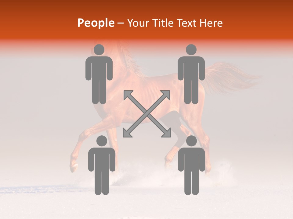 Arab Equestrian Horse PowerPoint Template