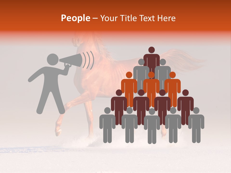 Arab Equestrian Horse PowerPoint Template