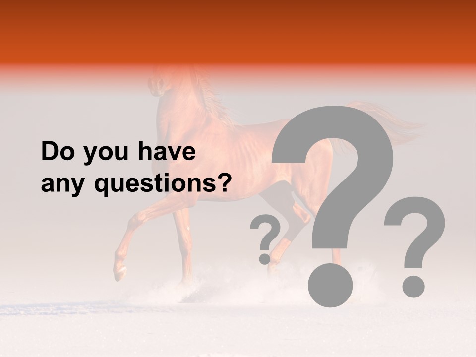 Arab Equestrian Horse PowerPoint Template