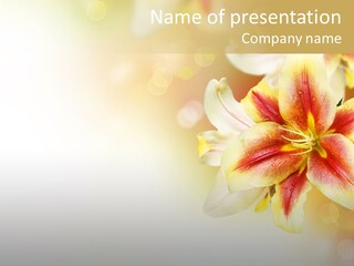 Sunny Summer Bouquet PowerPoint Template