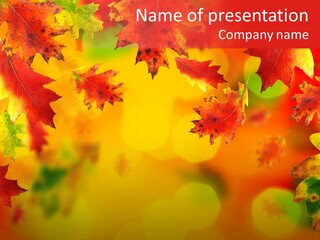 Tree Colour Park PowerPoint Template