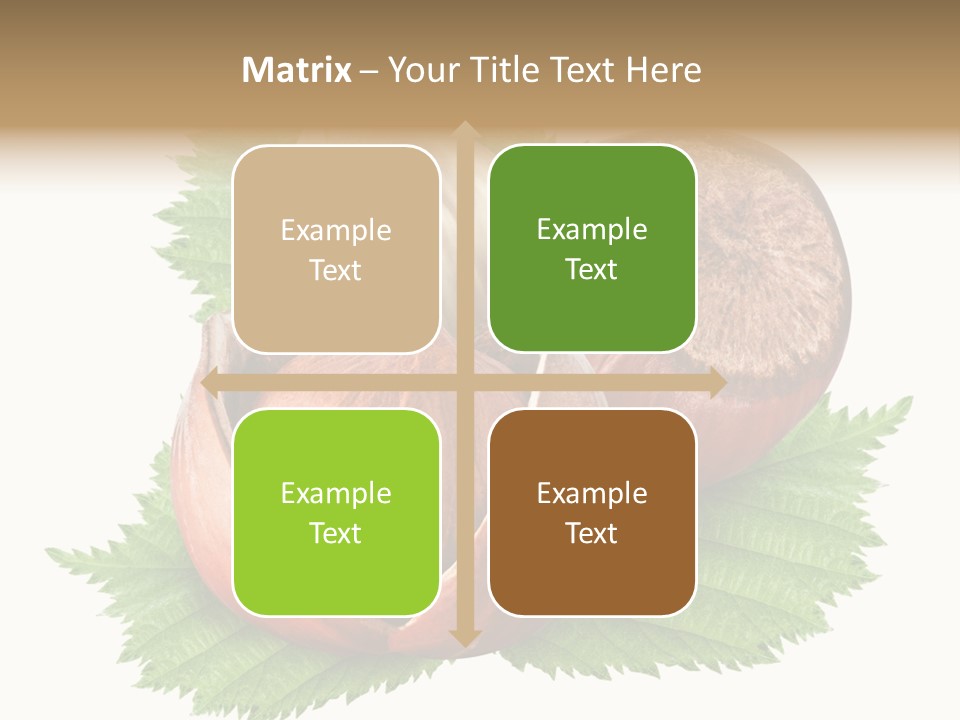 Tree Walnut Object PowerPoint Template