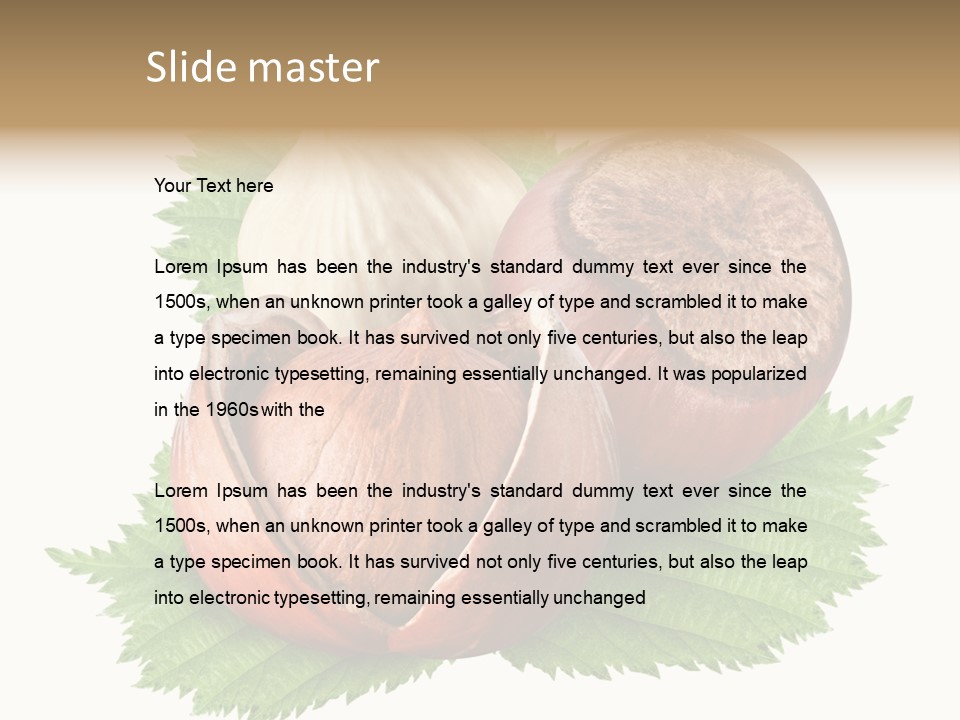 Tree Walnut Object PowerPoint Template