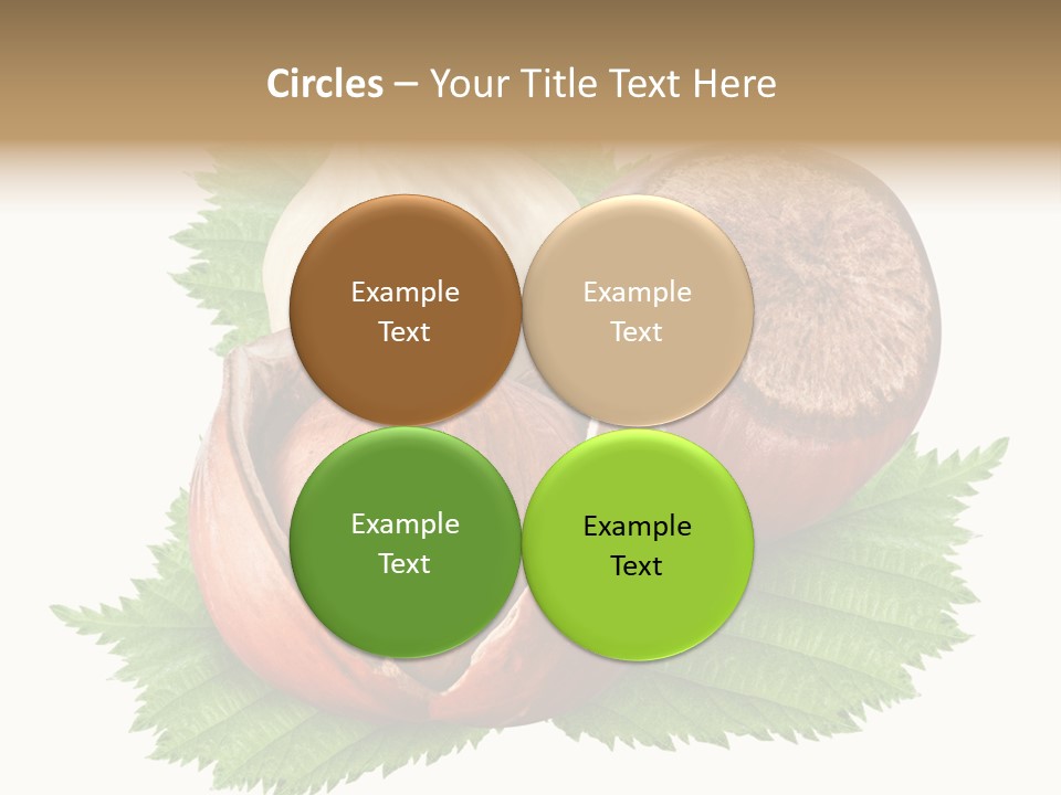 Tree Walnut Object PowerPoint Template