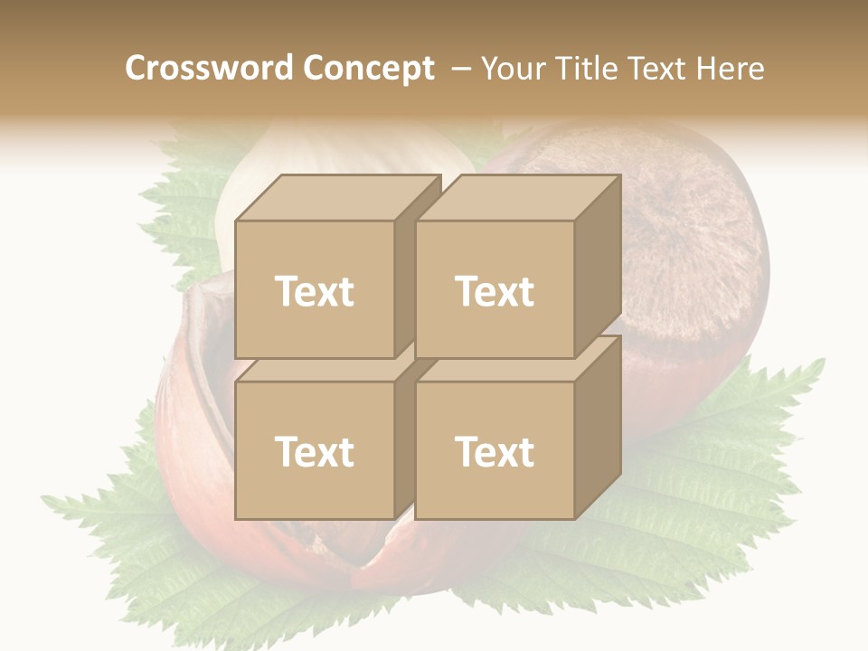 Tree Walnut Object PowerPoint Template