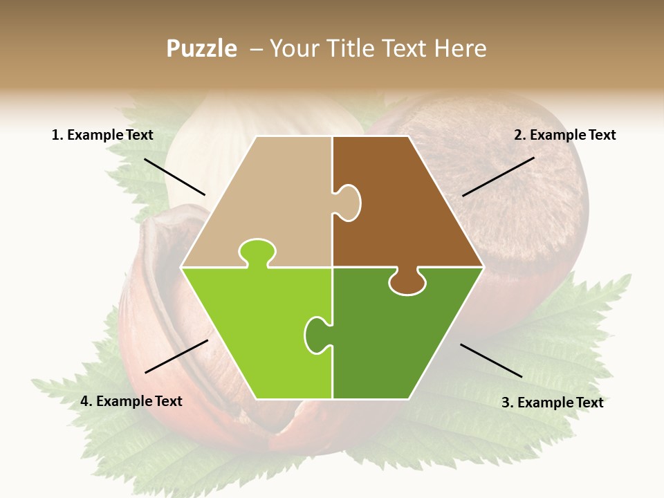 Tree Walnut Object PowerPoint Template