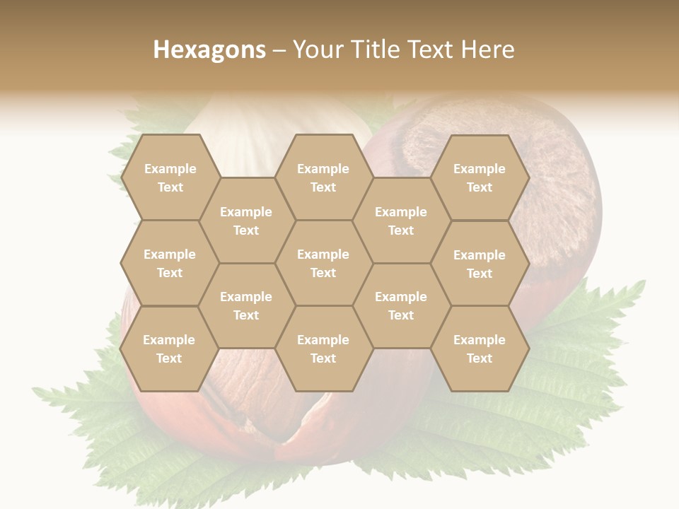 Tree Walnut Object PowerPoint Template