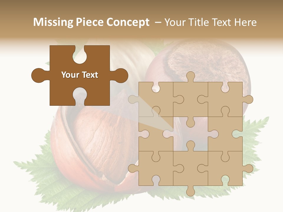 Tree Walnut Object PowerPoint Template