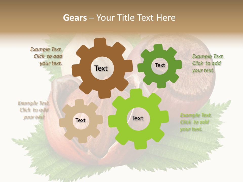 Tree Walnut Object PowerPoint Template