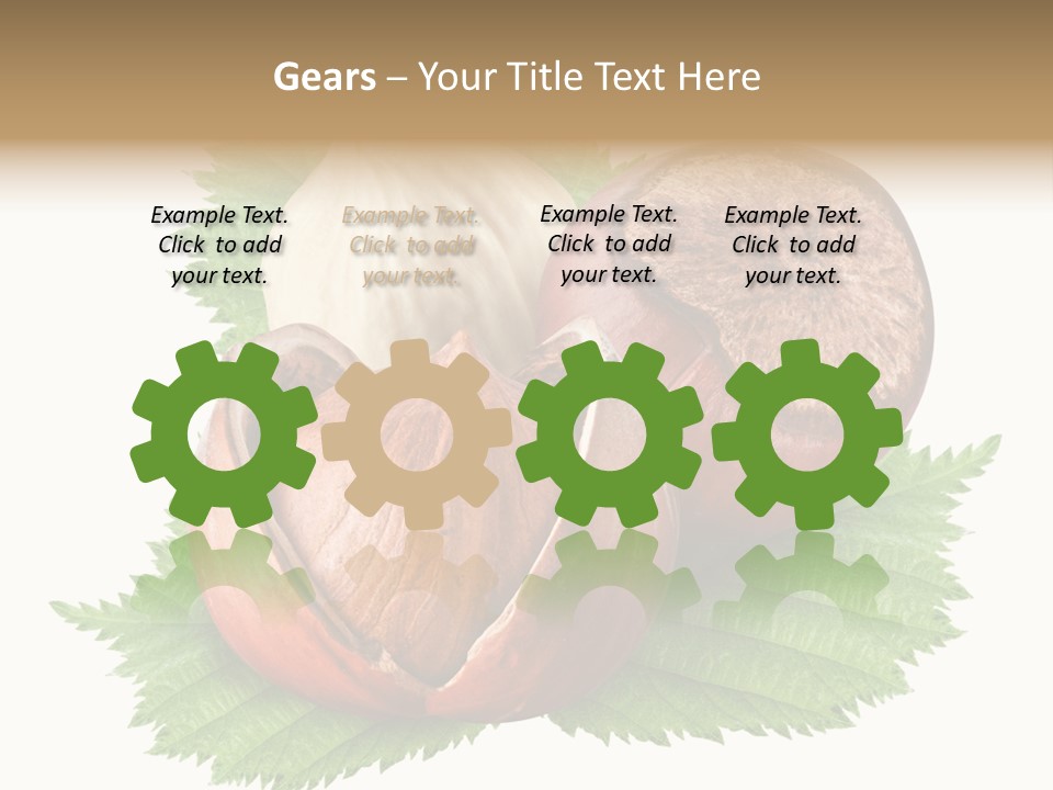 Tree Walnut Object PowerPoint Template