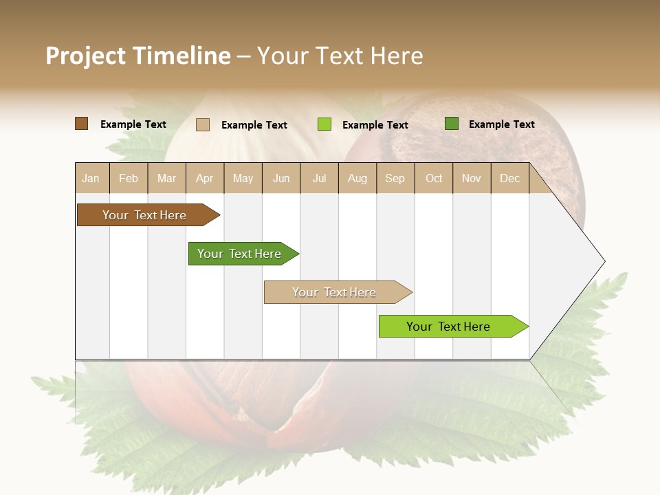 Tree Walnut Object PowerPoint Template
