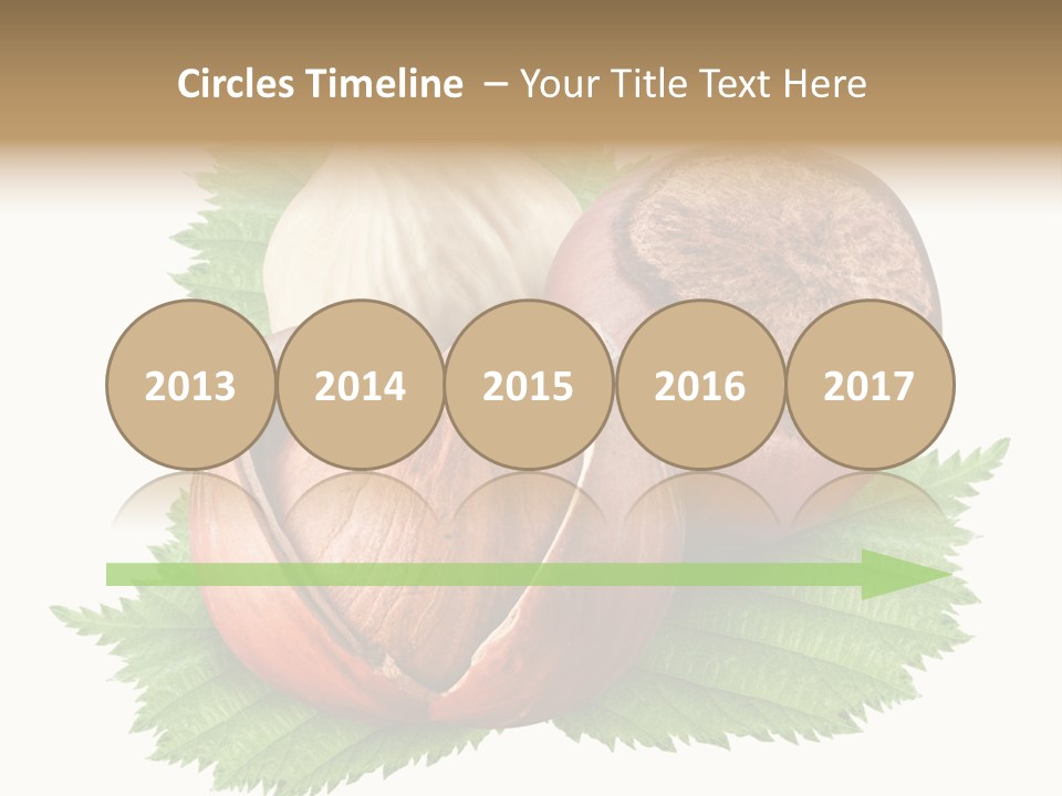 Tree Walnut Object PowerPoint Template