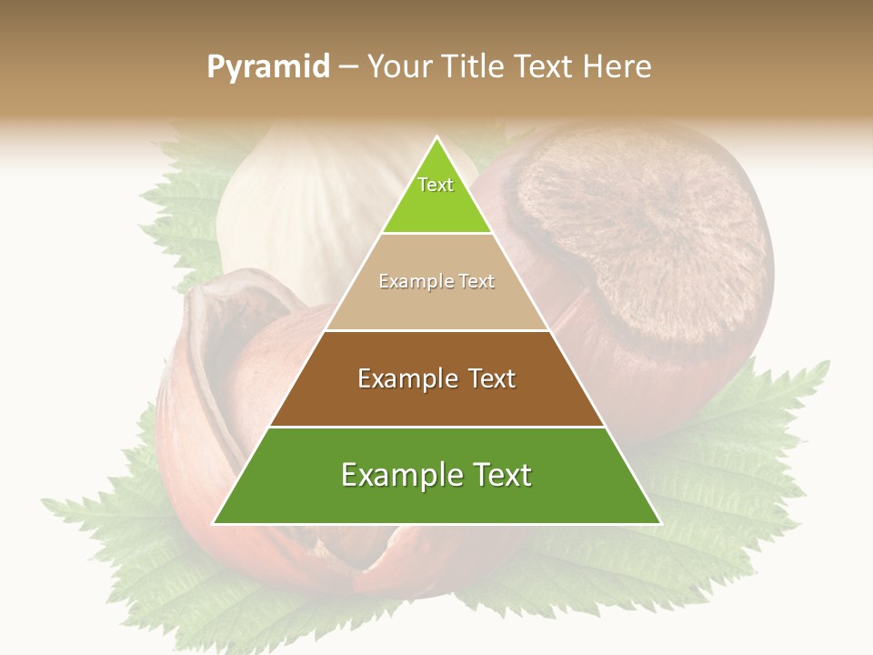 Tree Walnut Object PowerPoint Template