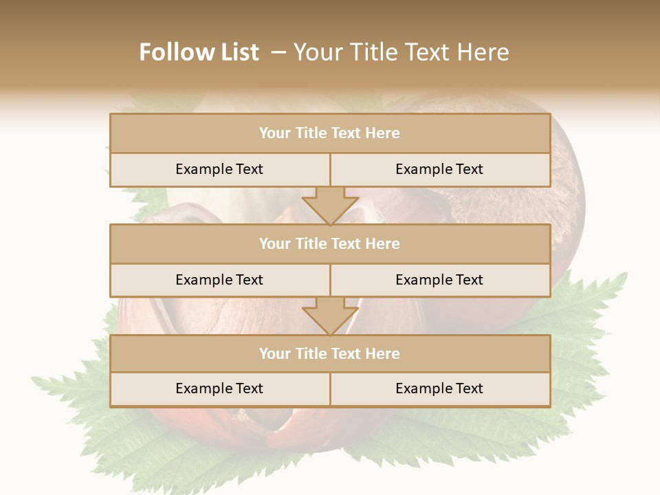 Tree Walnut Object PowerPoint Template