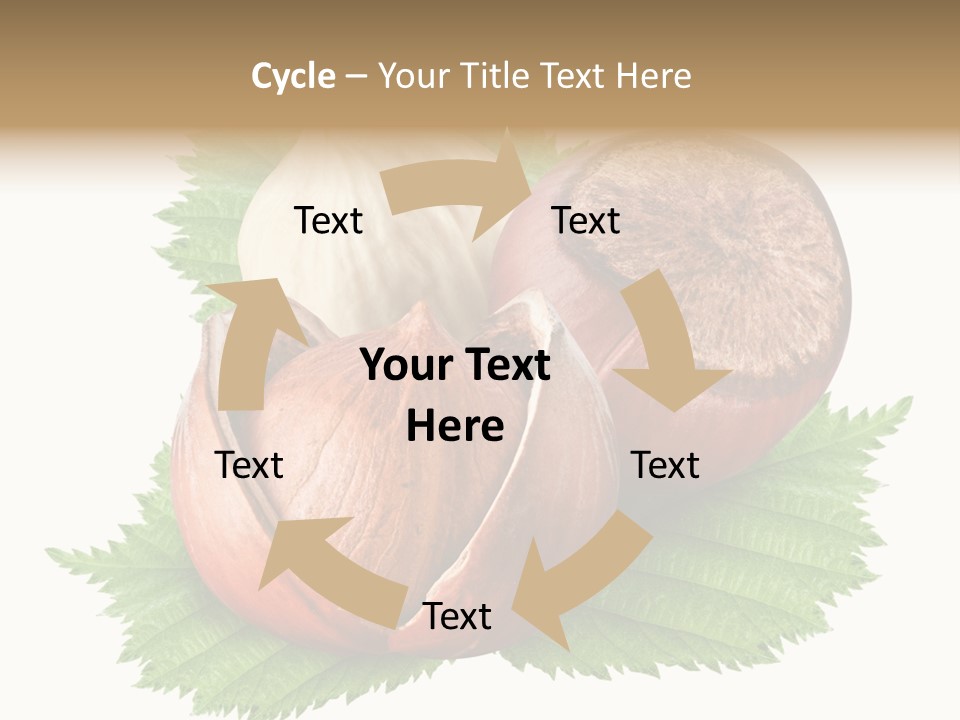 Tree Walnut Object PowerPoint Template