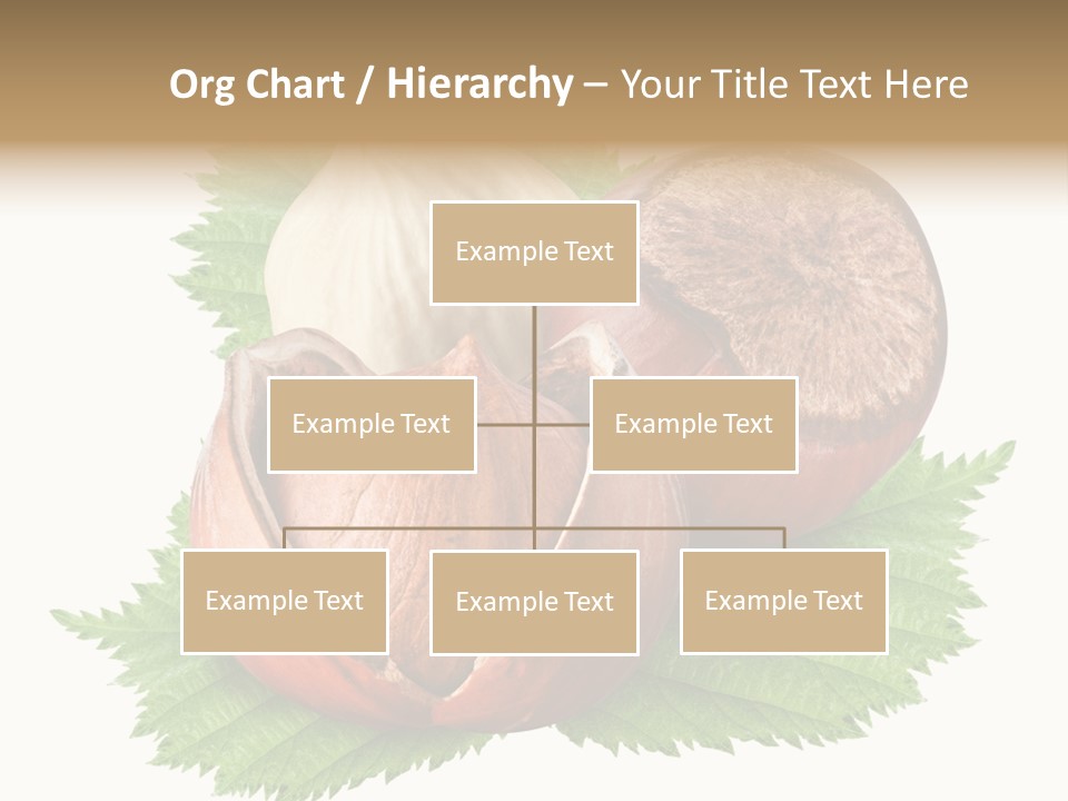 Tree Walnut Object PowerPoint Template