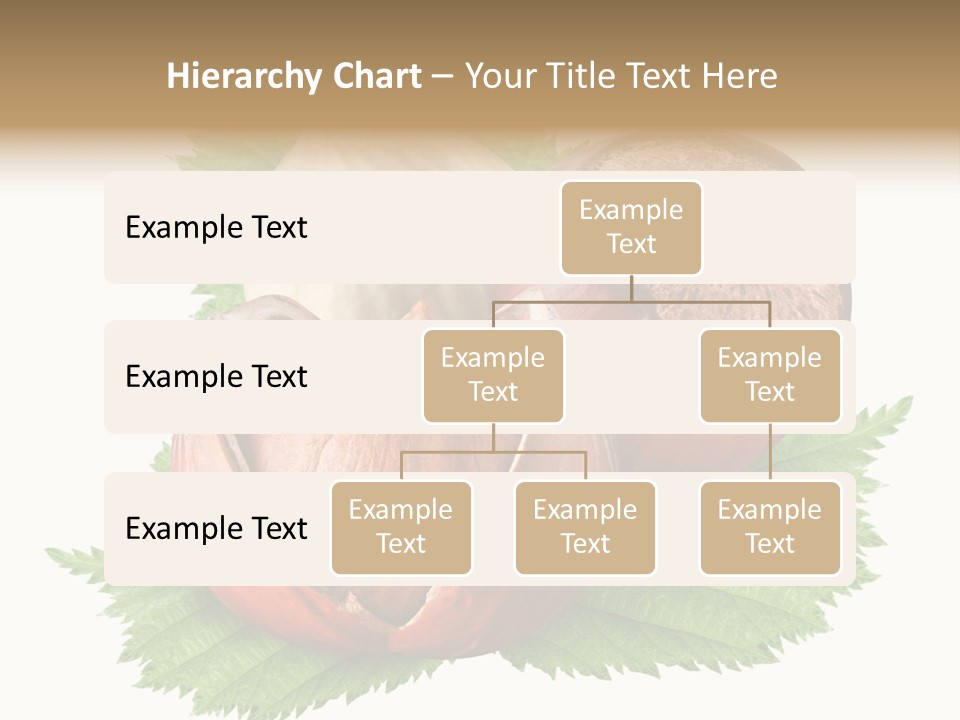 Tree Walnut Object PowerPoint Template