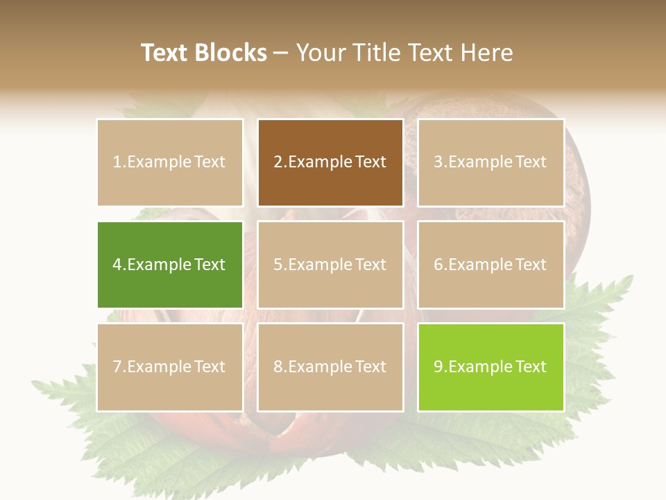 Tree Walnut Object PowerPoint Template