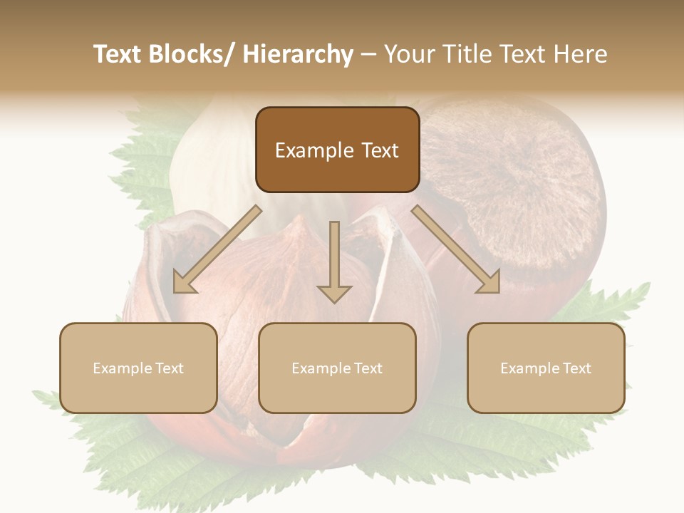 Tree Walnut Object PowerPoint Template