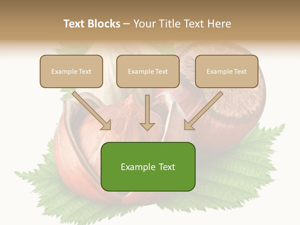 Tree Walnut Object PowerPoint Template