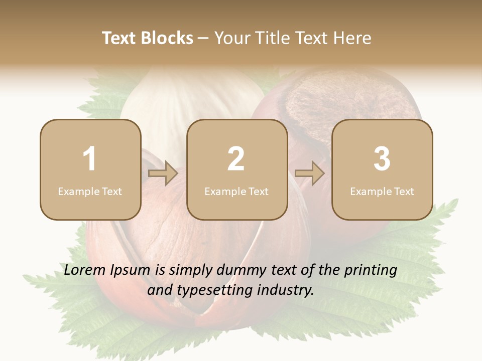 Tree Walnut Object PowerPoint Template