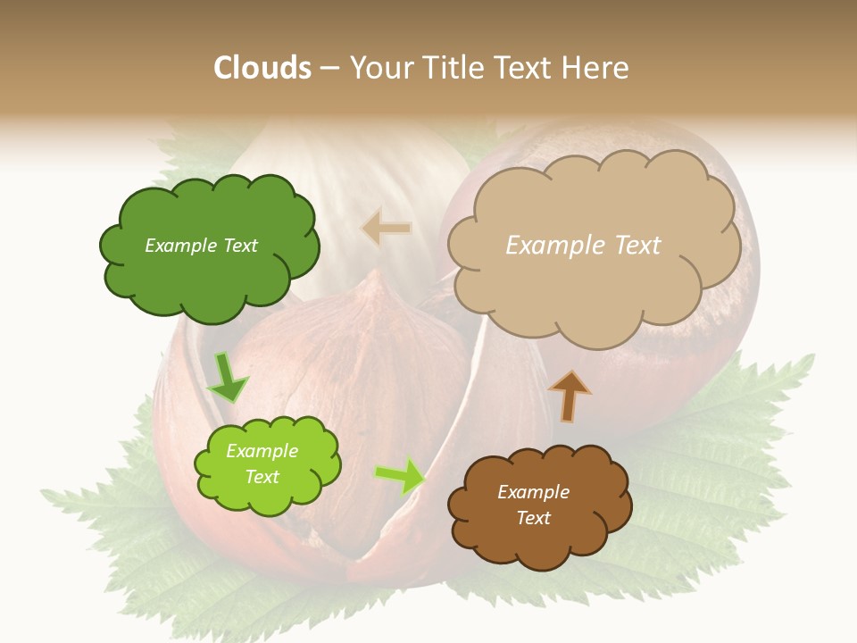 Tree Walnut Object PowerPoint Template