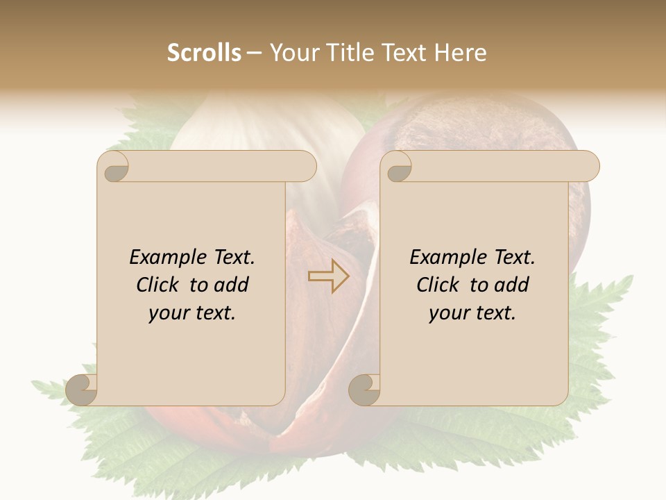 Tree Walnut Object PowerPoint Template