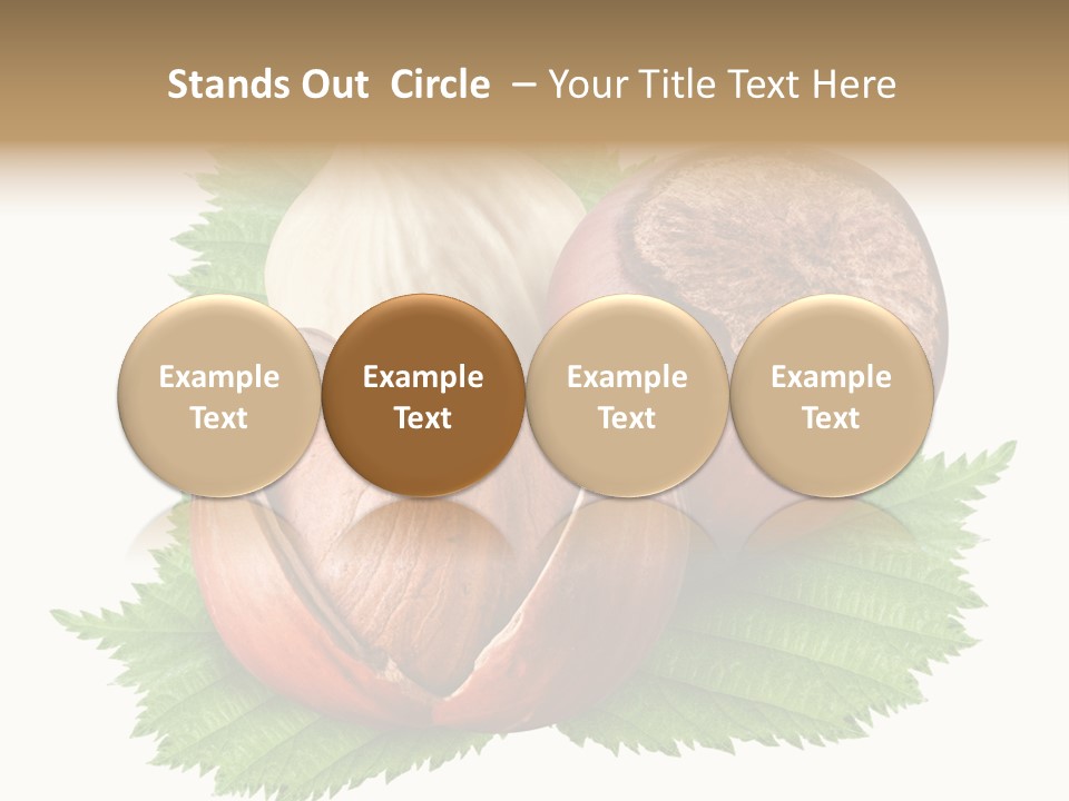 Tree Walnut Object PowerPoint Template