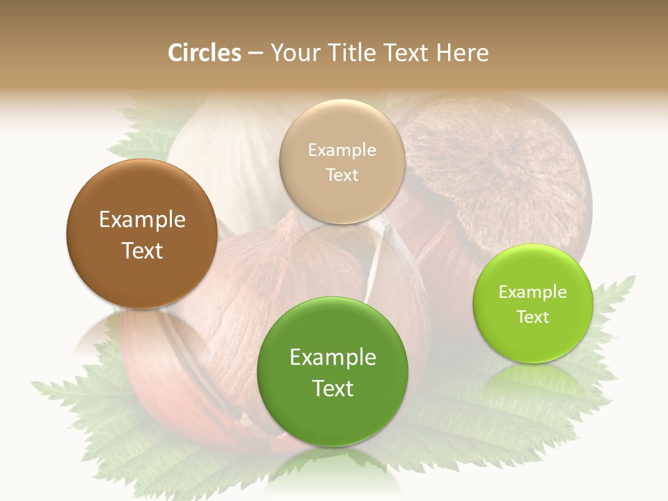 Tree Walnut Object PowerPoint Template