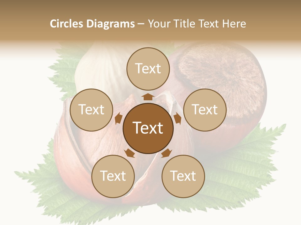 Tree Walnut Object PowerPoint Template