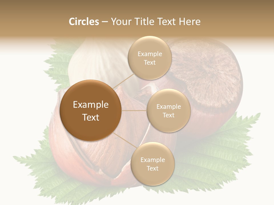 Tree Walnut Object PowerPoint Template