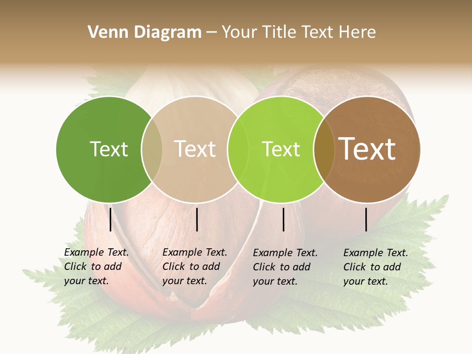 Tree Walnut Object PowerPoint Template