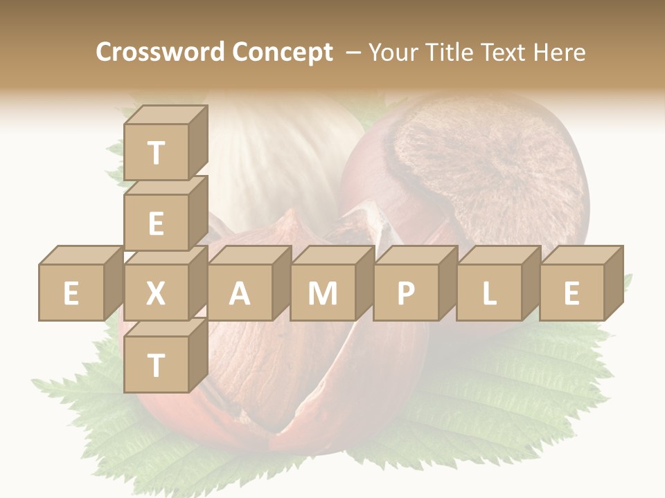 Tree Walnut Object PowerPoint Template