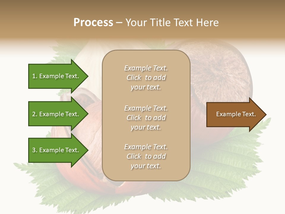 Tree Walnut Object PowerPoint Template