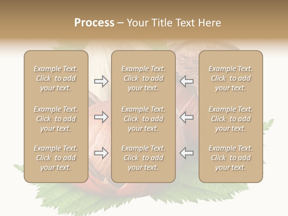 Tree Walnut Object PowerPoint Template
