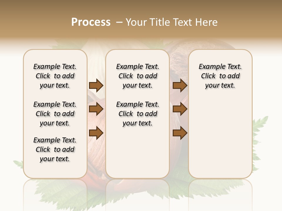 Tree Walnut Object PowerPoint Template