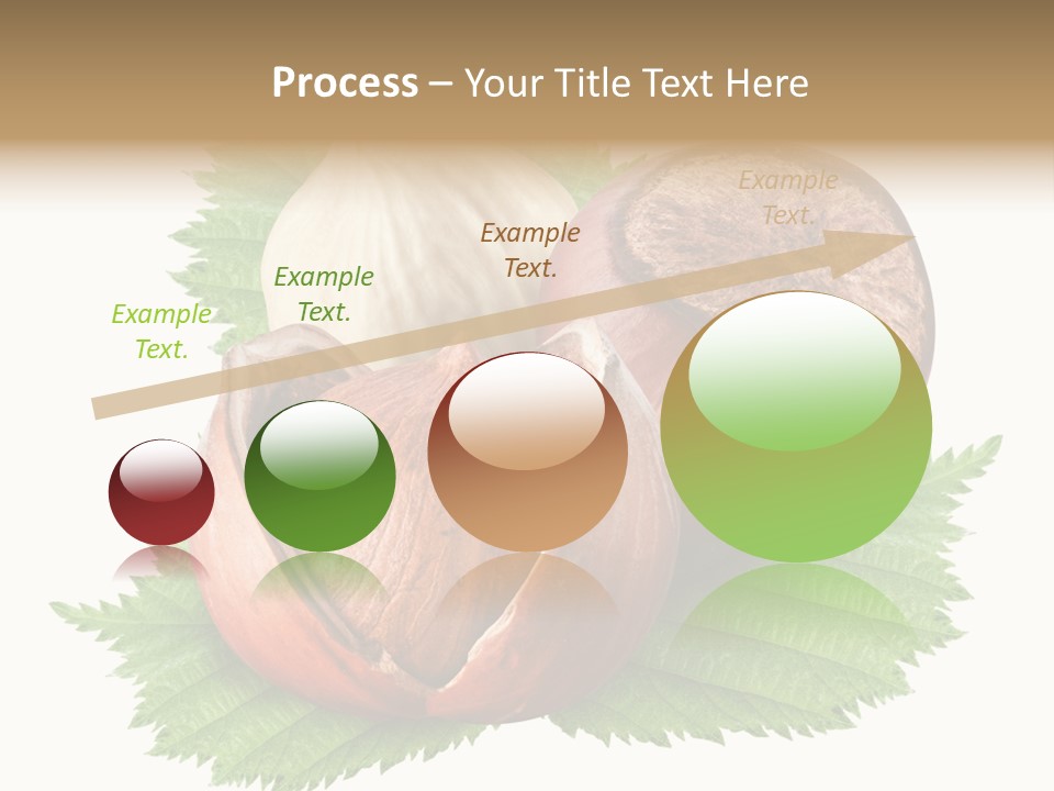 Tree Walnut Object PowerPoint Template
