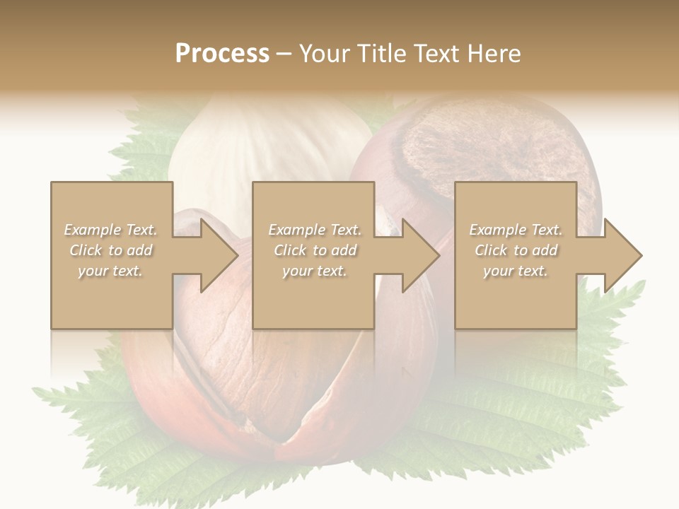 Tree Walnut Object PowerPoint Template