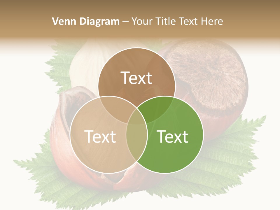 Tree Walnut Object PowerPoint Template