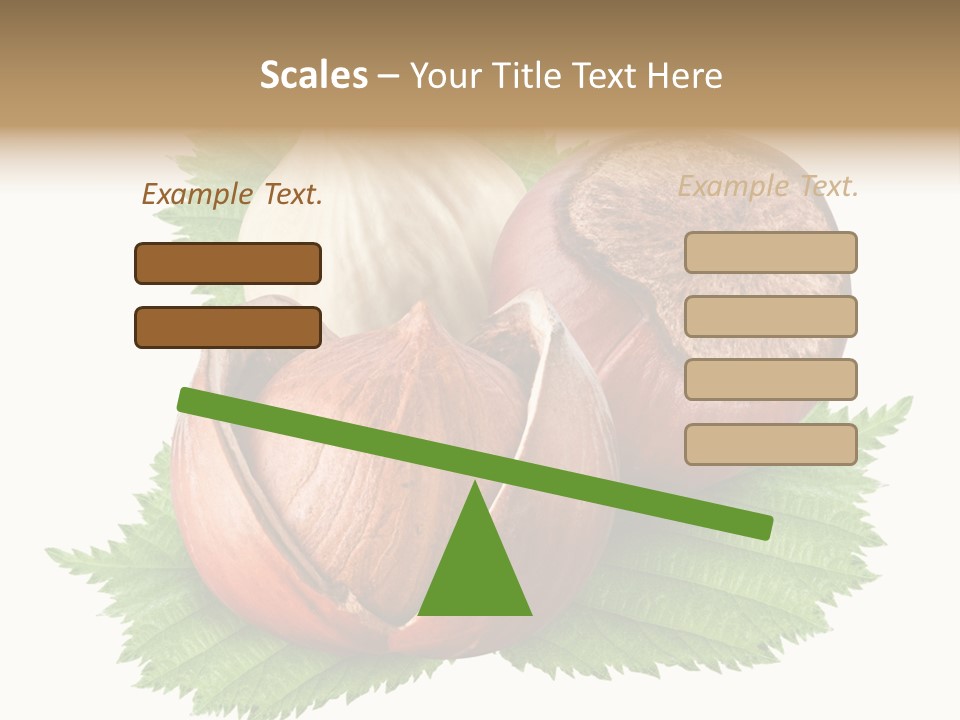 Tree Walnut Object PowerPoint Template