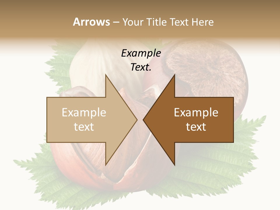 Tree Walnut Object PowerPoint Template