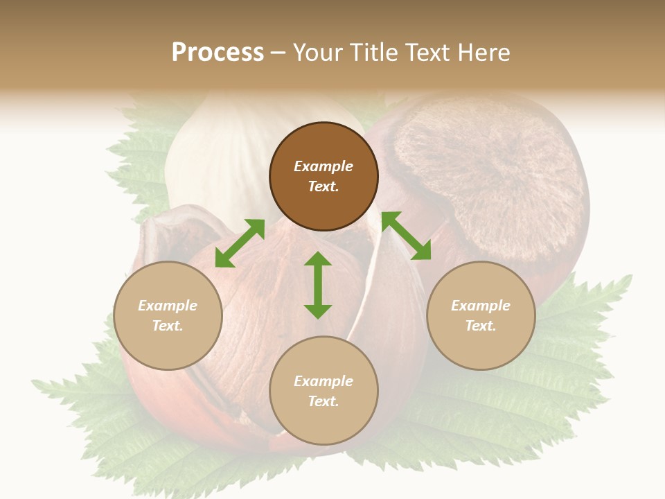 Tree Walnut Object PowerPoint Template