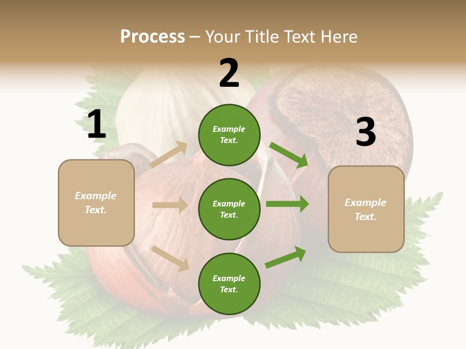 Tree Walnut Object PowerPoint Template