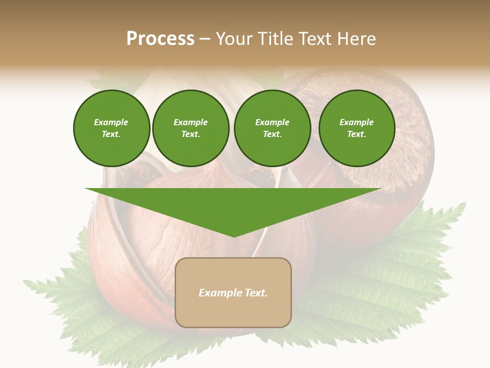 Tree Walnut Object PowerPoint Template