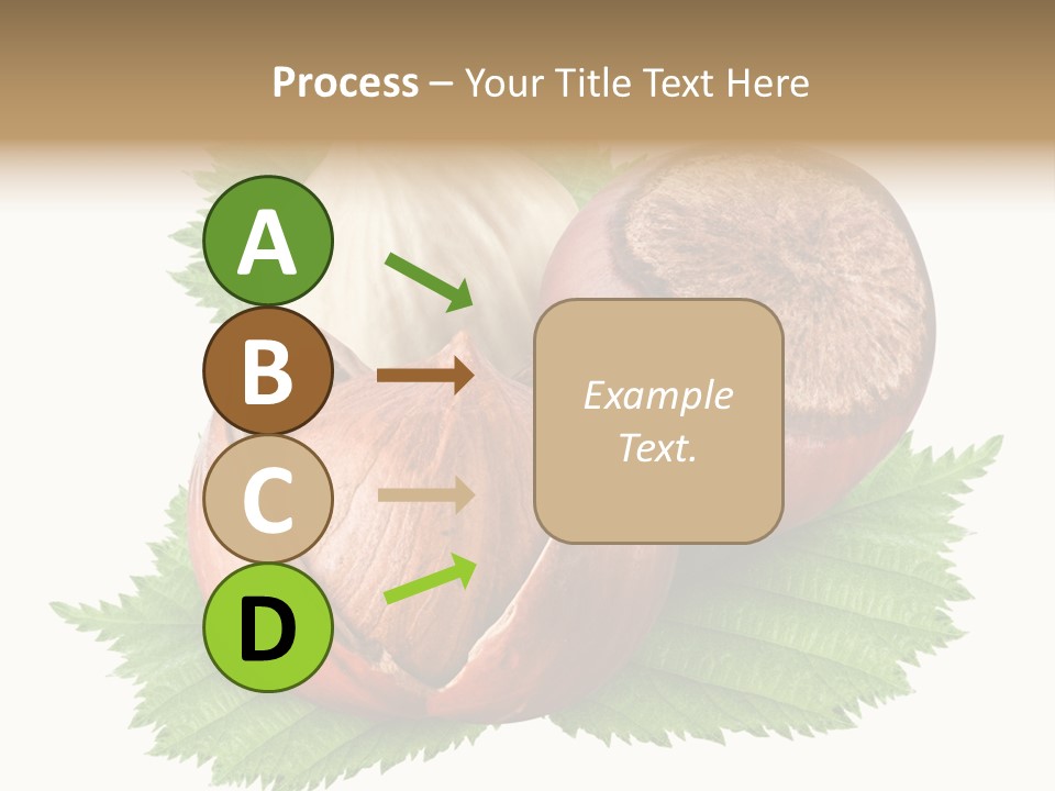 Tree Walnut Object PowerPoint Template
