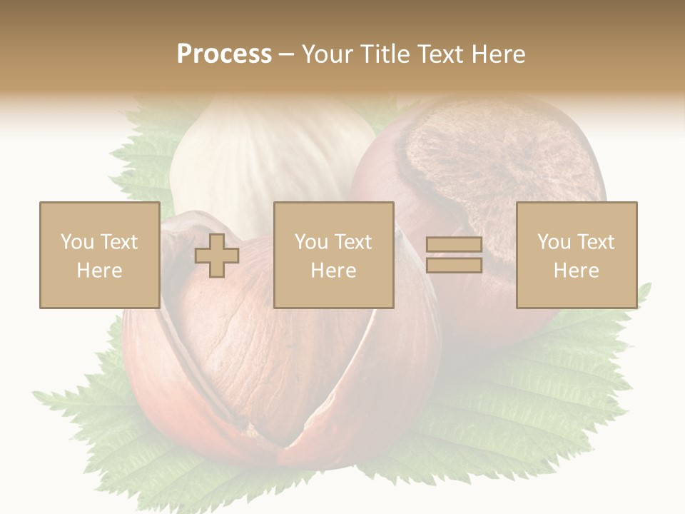 Tree Walnut Object PowerPoint Template