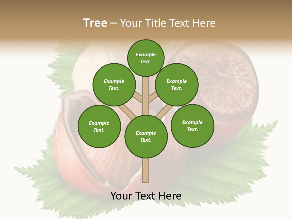 Tree Walnut Object PowerPoint Template
