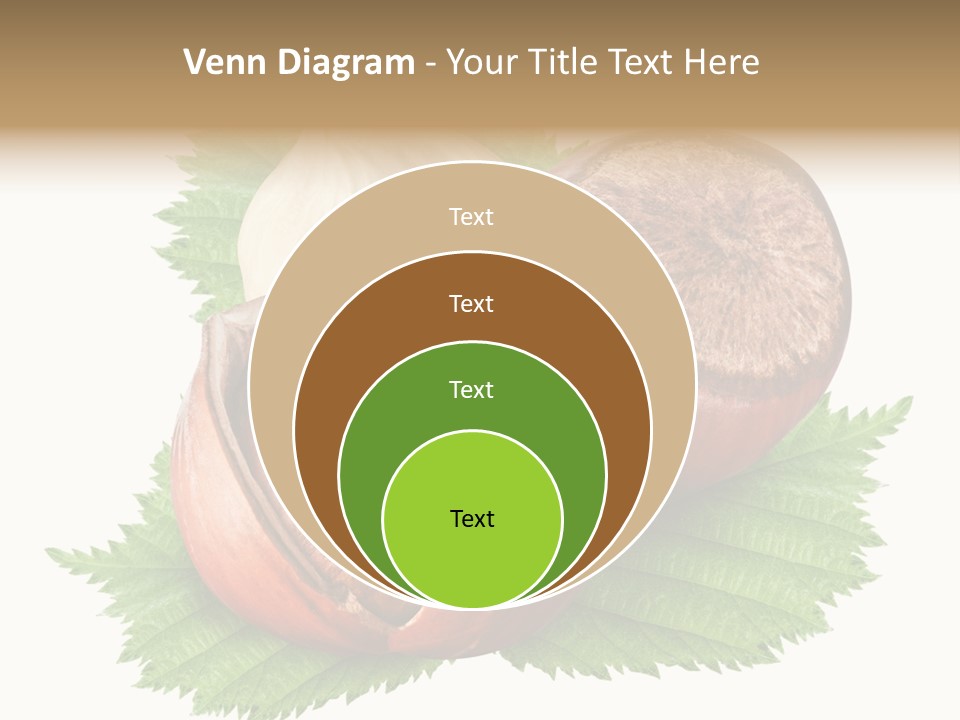 Tree Walnut Object PowerPoint Template
