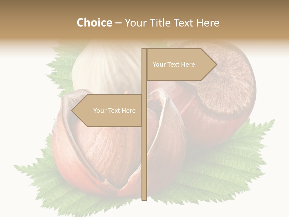 Tree Walnut Object PowerPoint Template